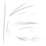 Eyebrow/ eyelash brush